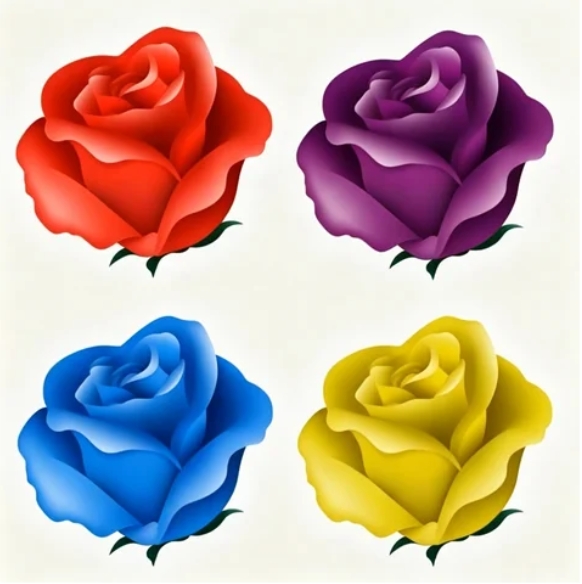 Quiz Image
